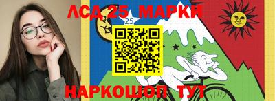 твердый Бердск