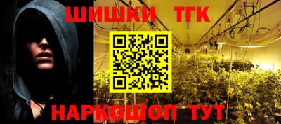 твердый Бердск