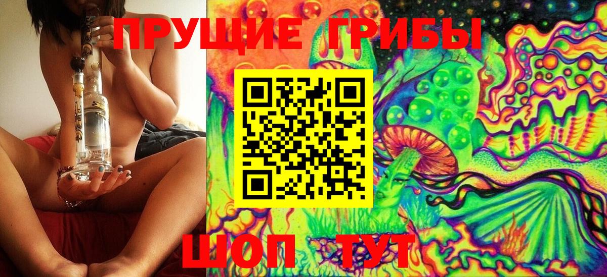купить наркотики сайты  Псилоцибиновые грибы GOLDEN TEACHER  Вход с VPN  Ачинск 